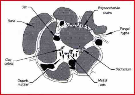ideal soil contents, Waternet.co.uk
